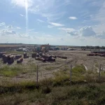 Transgaz accelerează proiectele majore: stadiul lucrărilor la Ghercești–Jitaru și Prunișor–Orșova–Jupa