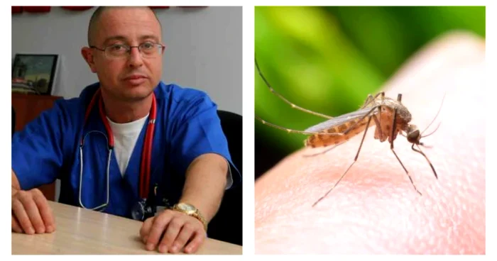 Trei cazuri confirmate de West Nile, unul mortal. Medic: „Nu neglijați înțepăturile de țânțari”