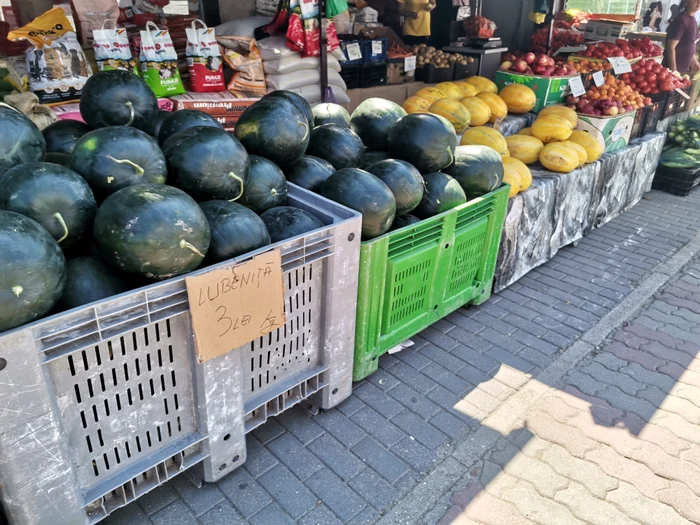 „Cimitirul de lubenițe” din Oltenia: de ce fermierii lasă pepenii pe câmp în loc să îi vândă samsarilor