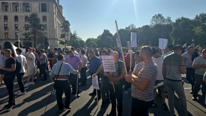 Tensiuni la sediul ANSVSA: jandarmii au folosit gaze lacrimogene la protestul oierilor