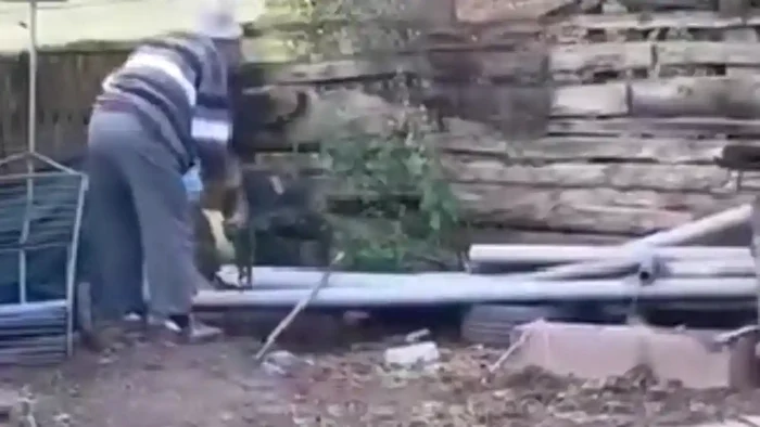Un bărbat din Meteș, cercetat după ce a ucis o pisică și a aruncat-o peste gard
