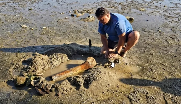 Seceta scoate la iveală oseminte la Dunăre: fragmente posibil de mamut găsite lângă Ruse
