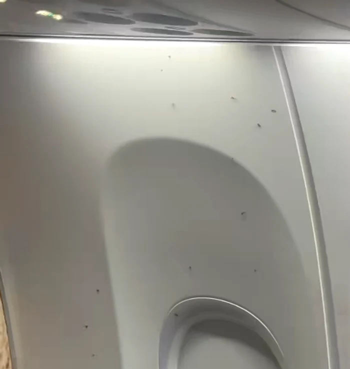 Zbor Ryanair întârziat trei ore la Milano după ce cabinele au fost invadate de țânțari