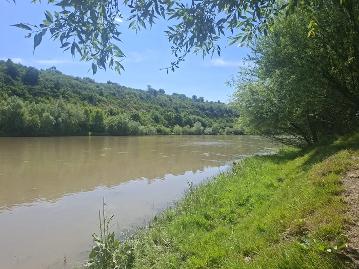 Cotu Miculinți, colț de natură la granița de nord: paradisul Prutului și viața grea a unui sat uitat