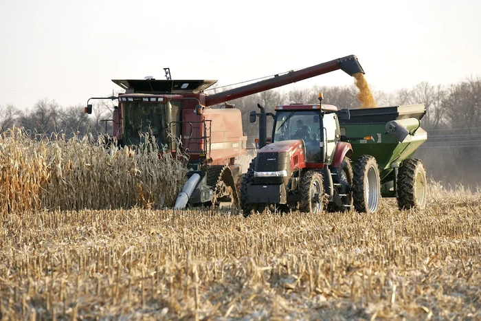 Aproximativ 10.000 de fermieri nu și-au primit integral subvențiile din 2025 din cauza problemelor IT ale APIA
