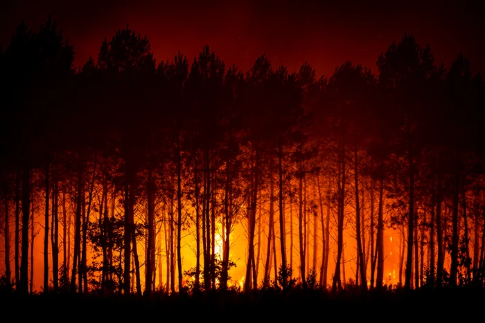 Aproape 500 de persoane reținute în Franța în legătură cu incendiile de vegetație din această vară