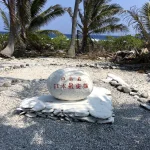 SUA şi Japonia vor să extragă metale rare de la 6 km adâncime, pentru a reduce dependenţa de China