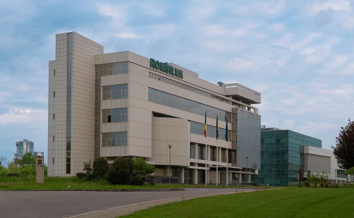 Romsilva, convocată de Ministerul Mediului după atribuiri de 28 milioane lei fără publicare în 2025