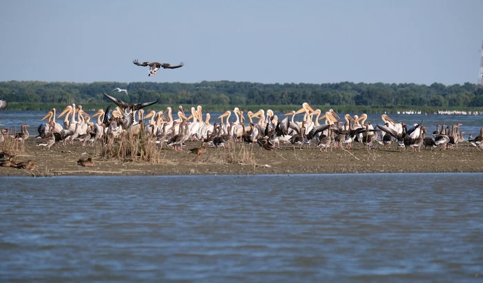 Vacanțe în Delta Dunării: nivelul Dunării la cote record, dar destinațiile rămân accesibile