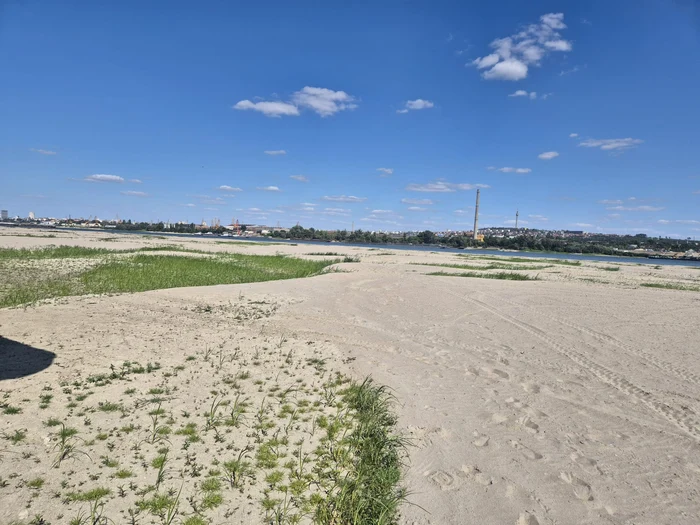 Imagini surprinzătoare pe Dunăre: albia devine mlaștină în zona Pădurii Bășica, județul Giurgiu