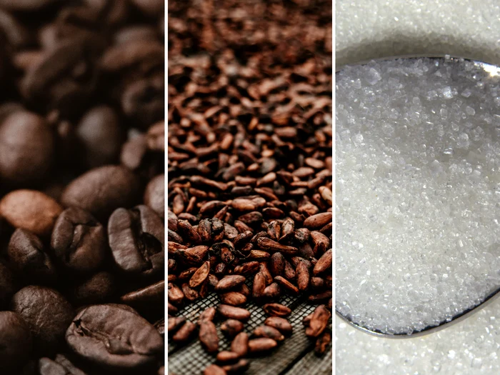 El Niño amenință producția de cafea, cacao și zahăr; prețuri în creștere pe piețele globale