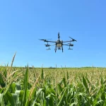 UE propune relaxarea regulilor pentru pulverizarea cu drone în agricultură