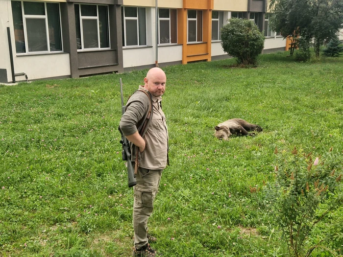 Alertă la un liceu din Sibiu: un urs a pătruns în curte și a fost tranchilizat după o intervenție dificilă