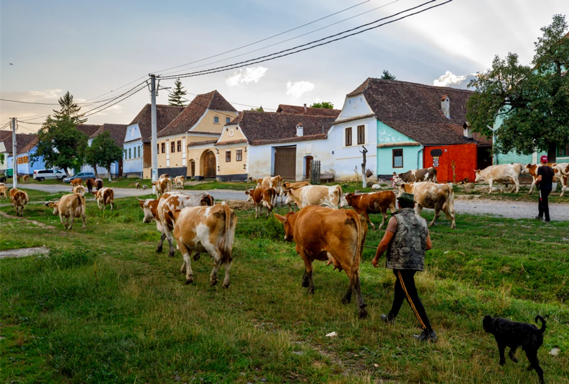 Cum Viscri, satul preferat al Prințului Charles, a devenit model de dezvoltare rurală