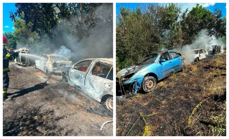 Incendiu de vegetație lângă Sighișoara: flăcările au distrus cinci autoturisme