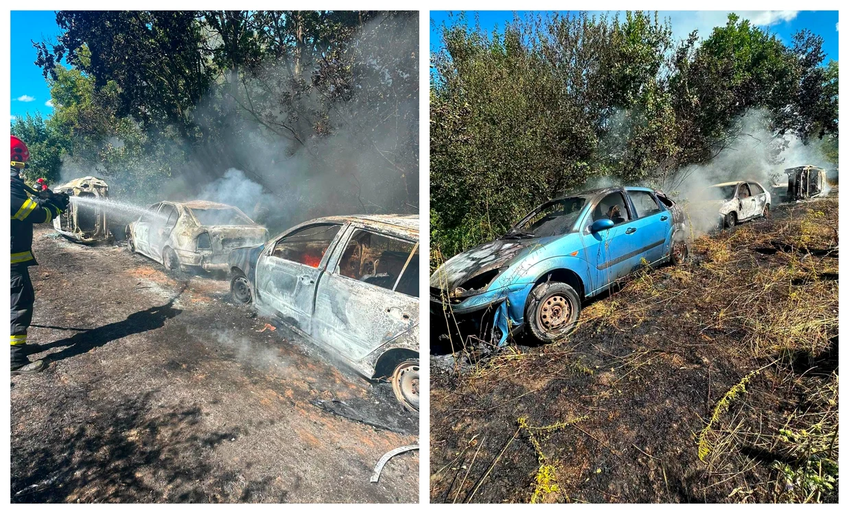 Incendiu de vegetație lângă Sighișoara: flăcările au distrus cinci autoturisme