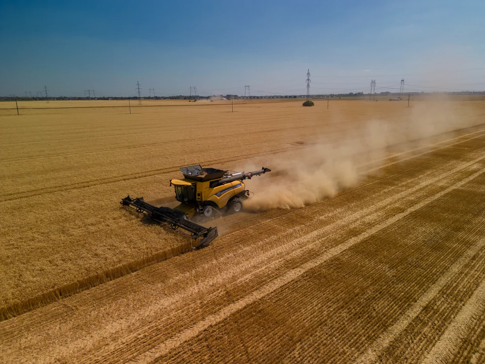 România înregistrează producții agricole-record, în ciuda secetei din Europa