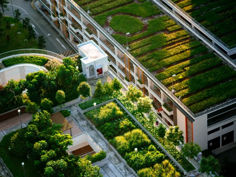 Noul Cod al Urbanismului impune acoperișuri verzi și parcări ecologice pentru clădiri mari