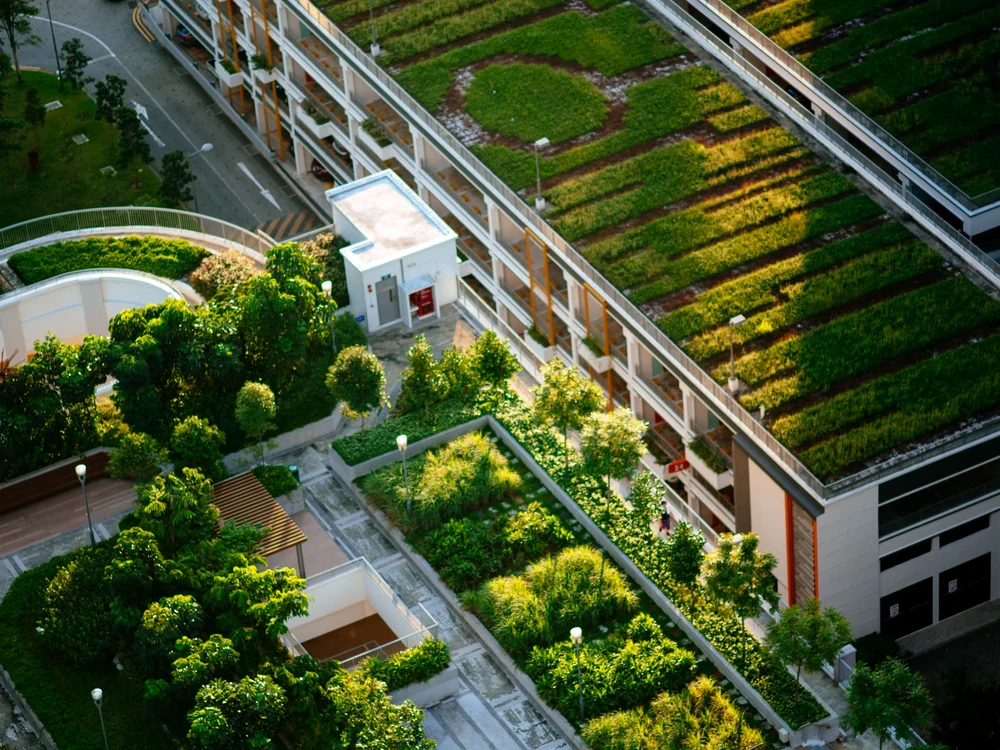 Noul Cod al Urbanismului impune acoperișuri verzi și parcări ecologice pentru clădiri mari