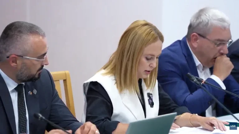 Legea ANI a trecut de comisii în Senat; amendamentele de eliminare au fost respinse, proiectul merge la votul final