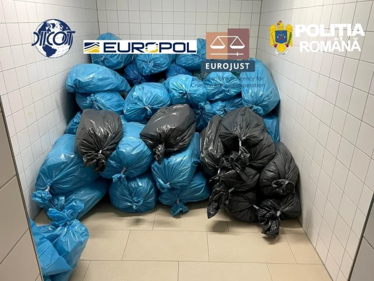 Șapte arestări în dosarul „Matrix”: patron de firmă de transport din Oradea și presupusul lider, reținuți în ancheta DIICOT