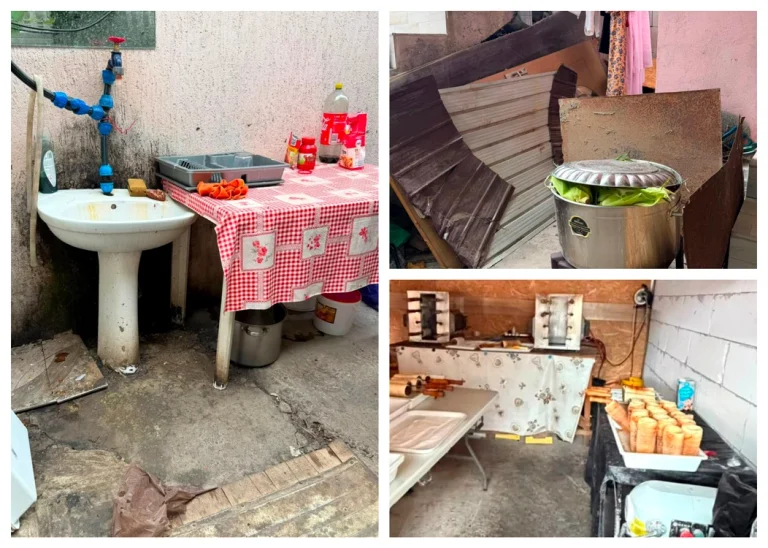 Controale pe litoral: imagini şocante din spațiile unde se pregătesc alimentele vândute pe plajă