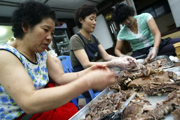 Phenianul recomandă supa din carne de câine ca remediu în timpul caniculei