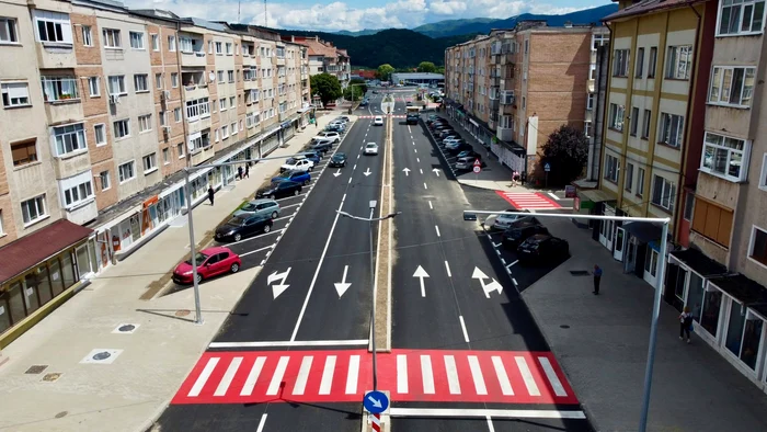 Modernizările care scot umbra din orașe: parcuri și bulevarde refăcute, dar cu mai puțini arbori maturi