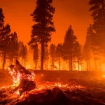 Europa, tot mai vulnerabilă în fața incendiilor: cine plătește costurile schimbărilor climatice