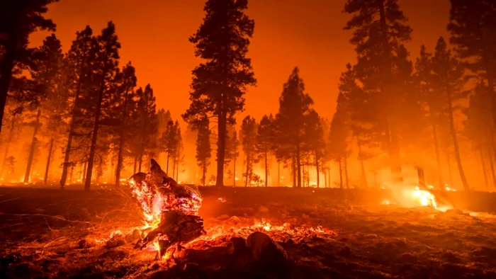 Europa, tot mai vulnerabilă în fața incendiilor: cine plătește costurile schimbărilor climatice