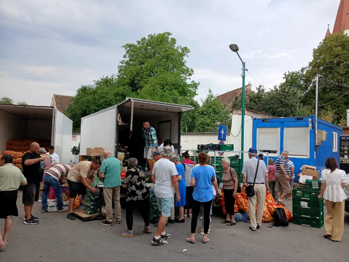 Legumicultorii cer controale și eliminarea samsarilor: roșiile pleacă din Olt cu 1,5 lei și ajung la peste 5 lei în Ardeal