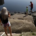 „Dacă mă vezi, plângi”: „pietrele foametei” reapar pe Elba lângă Pirna în contextul secetei din Germania