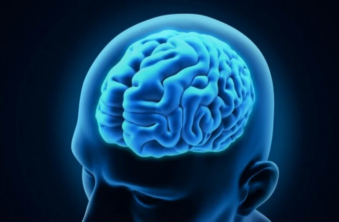 Cercetători de la University of Florida au creat un AI care distinge cu mare precizie două forme de demență