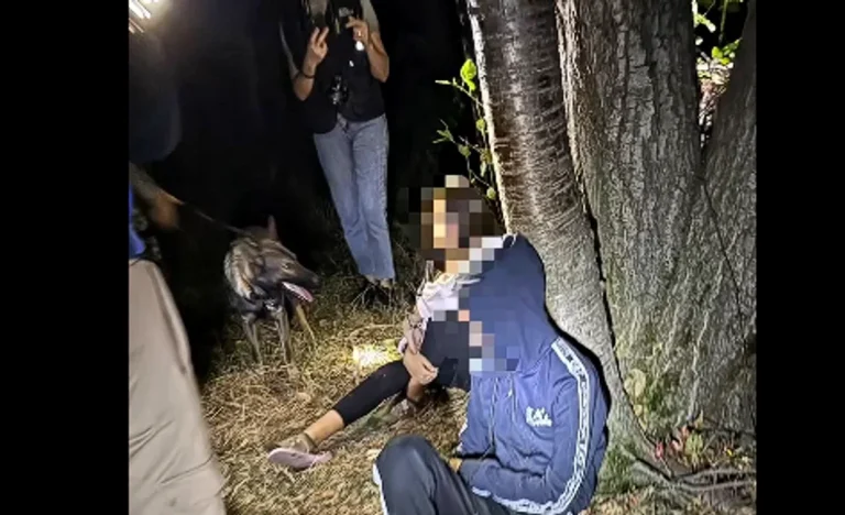 Doi copii de 13 ani, găsiți în siguranță noaptea cu ajutorul câinelui de urmă Luna