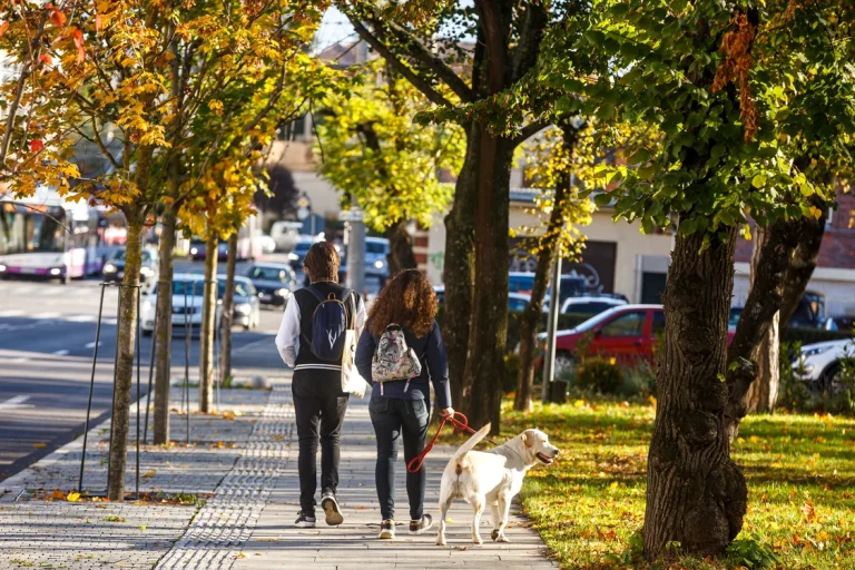Vremea marți, 15 septembrie: maxime până la 28°C, izolat ploi slabe și ceață dimineața