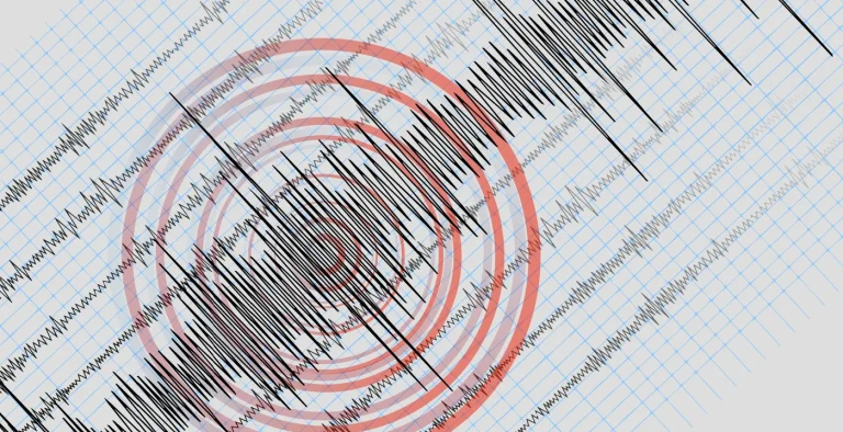 Cutremur de magnitudine 4,4 în zona Vrancea-Buzău; seismul a fost resimțit și în București