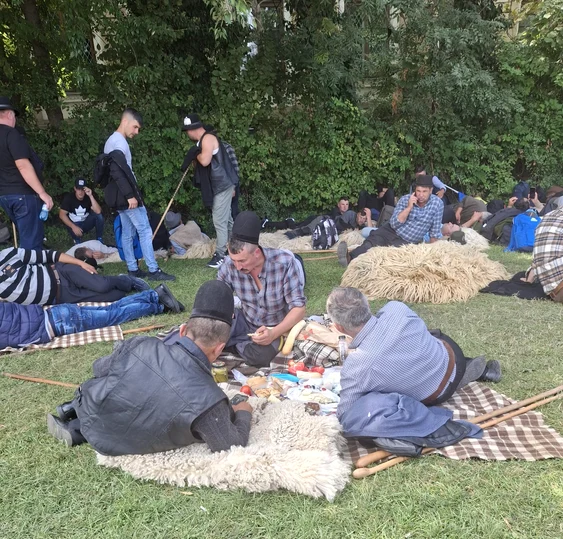 Protestul oierilor, deturnat de agitatori: crescătorii au rămas spectatori la propria manifestație