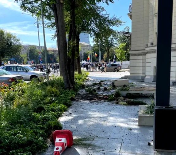 Pagube şi răni după protestul fermierilor din Piața Victoriei: garduri rupte, pomișori smulși și trafic blocat