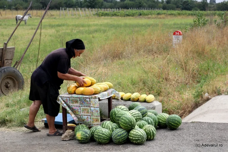 Mii de familii din România își asigură venituri din vânzarea produselor pe marginea drumurilor