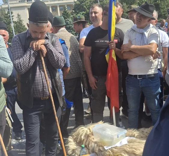 Protestul crescătorilor de oi la București: nemulțumiri nerezolvate în urma deciziei UE de blocare a exporturilor