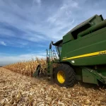 Fermierii primesc 333 lei/ha pentru porumb calamitat în 2025. Cât ar fi obținut în Franța