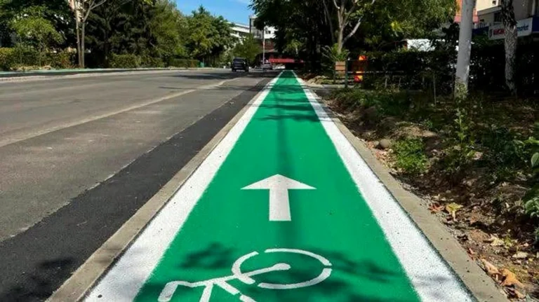 Baia Mare, sancționată cu 21 de puncte-amendă pentru amenajarea unei piste de biciclete fără avizul poliției