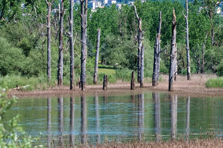 Lacul „fantomă” din Italia: cum dispărea aproape complet și de ce a revenit apa
