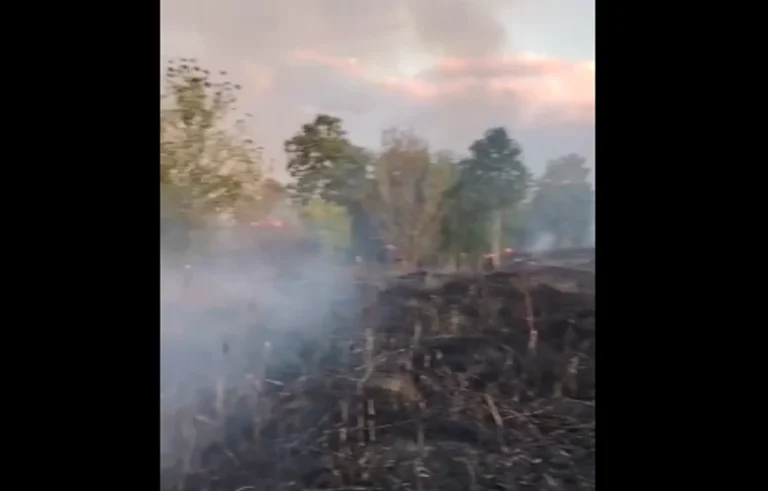 Incendiu de vegetație pe platforma fostului combinat siderurgic din Hunedoara: aproximativ 15 hectare afectate