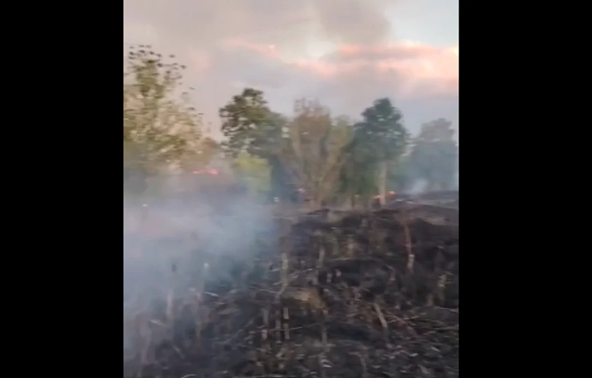 Incendiu de vegetație pe platforma fostului combinat siderurgic din Hunedoara: aproximativ 15 hectare afectate