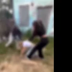 Adolescentă de 15 ani agresată în Mangalia; două dintre agresoare plasate în arest