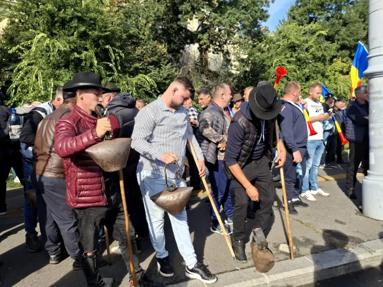 De ce unii români ies în stradă: rețelele, organizațiile și o invitație fac diferența