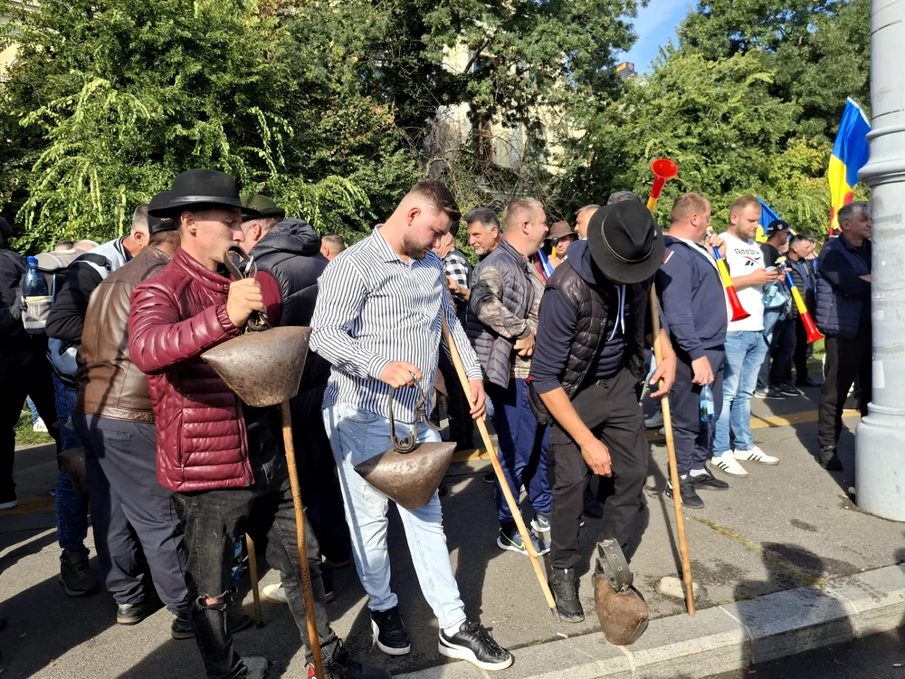 De ce unii români ies în stradă: rețelele, organizațiile și o invitație fac diferența