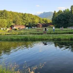 Păstrăvăriile de la poalele Făgărașului, atracții turistice cu istorie: cum a impus păstrăvul curcubeu creșterea intensivă