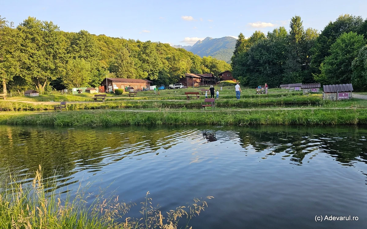 Păstrăvăriile de la poalele Făgărașului, atracții turistice cu istorie: cum a impus păstrăvul curcubeu creșterea intensivă